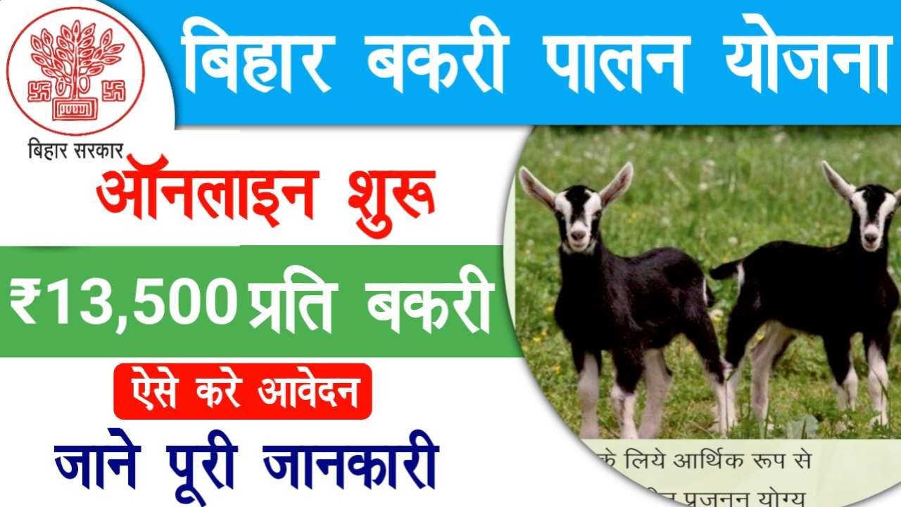 Bihar Bakri Palan Yojana 2025 Apply Online