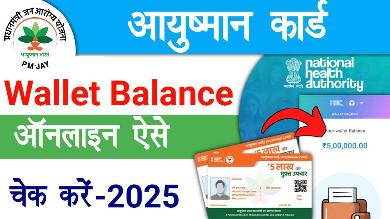 Ayushman Card Wallet Balance Check