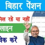 Bihar Pension Payment Check : बिहार पेंशन राशि चेक करें ₹1100 प्रति माह मिल रहे हैं या नहीं, घर बैठे खुद से